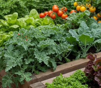 How to Achieve High-Density Planting in Your Garden Bed - Land Guard