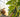 Growing Cucumbers in a Garden Bed: Tips and Tricks from an Advanced Gardener - Land Guard