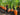 Loosening Soil for Carrots in Raised Beds: Avoiding Misshapen Roots - Land Guard