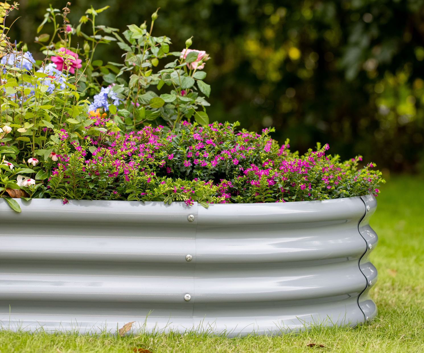 Ideas for Designing a Raised Garden Bed: Functional & Aesthetic Solutions