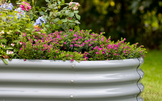 Ideas for Designing a Raised Garden Bed: Functional & Aesthetic Solutions