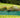 Raised Garden Bed Sizes: Which One to Choose? - Land Guard
