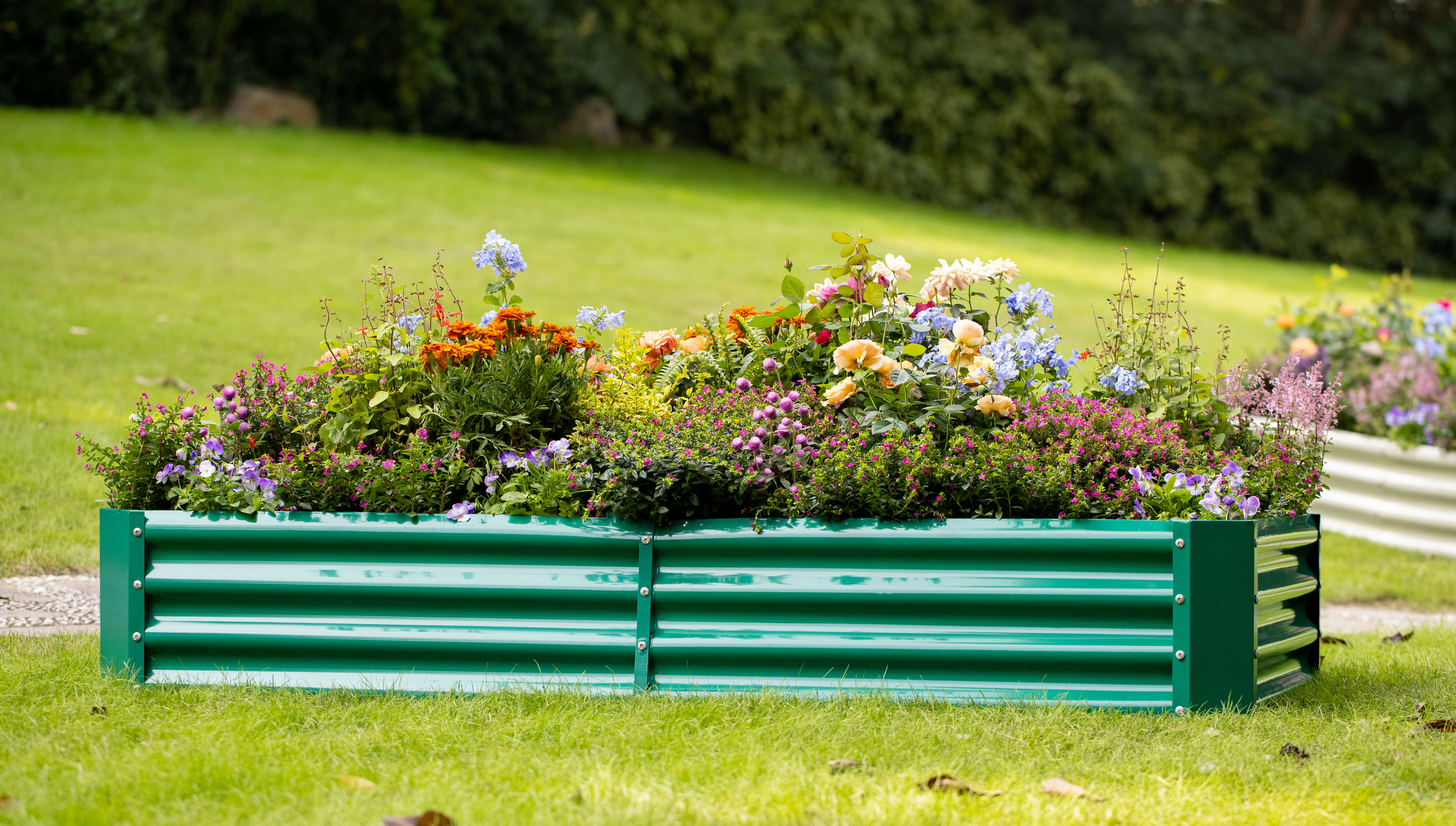Raised Garden Bed Sizes: Which One to Choose?
