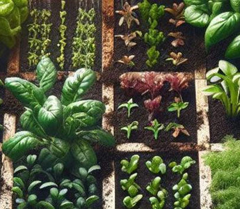 Landguard's Ultimate Guide to Smart Plant Growing Tips for a Thriving Garden - Land Guard