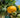 Landguard's Expert Guide to Successful Fruit Growing: Smart Tips for Bountiful Harvests - Land Guard