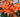 Landguard's Professional Guide to Flower Gardening: Expert Tips for Blooming Success - Land Guard