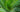 How to Grow Aloe Vera in Raised Garden Beds: Complete Guide for US Gardeners - Land Guard