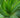 How to Grow Aloe Vera in Raised Garden Beds: Complete Guide for US Gardeners - Land Guard