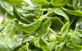The Hidden Values of Herbs: 5 Surprising Uses From Mosquito Repellents to Natural Cleaners - Land Guard