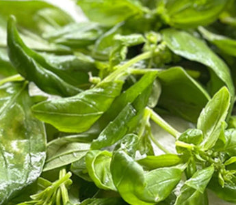 The Hidden Values of Herbs: 5 Surprising Uses From Mosquito Repellents to Natural Cleaners - Land Guard