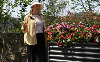 Galvanized Raised Garden Beds: Benefits, Setup & Why Landguard Stands Out - Land Guard