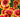 Salt-Tolerant Blooms That Thrive in Humid Heat - Land Guard