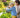 5 Fun Edible Flowers Perfect for Parent-Child Planting - Land Guard