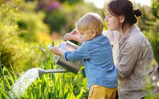 5 Fun Edible Flowers Perfect for Parent-Child Planting - Land Guard