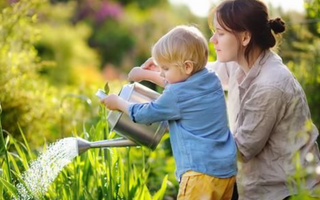 5 Fun Edible Flowers Perfect for Parent-Child Planting