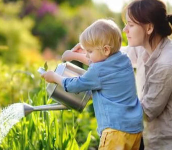 5 Fun Edible Flowers Perfect for Parent-Child Planting - Land Guard
