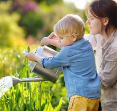 5 Fun Edible Flowers Perfect for Parent-Child Planting - Land Guard
