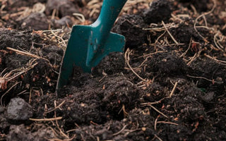 Choosing the Right Fertilizer for Different Plants: A Guide to Thriving Gardens - Land Guard
