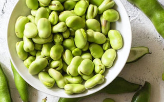 Fresh broad beans in a bowl with green pods