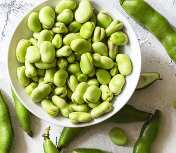 Fresh broad beans in a bowl with green pods
