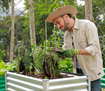 Landguard Legacy Gardens: Building Heirloom Harvests That Last Generations - Land Guard