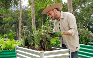 Landguard Legacy Gardens: Building Heirloom Harvests That Last Generations - Land Guard
