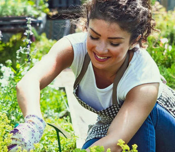 5 Essential Trimming Rules Every Raised Bed Gardener Should Know - Land Guard