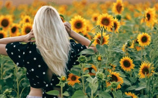 Best Yellow Flowers to Grow - Land Guard