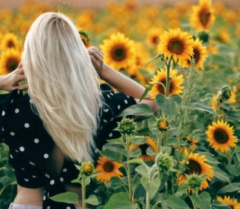 Best Yellow Flowers to Grow - Land Guard