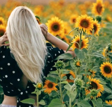 Best Yellow Flowers to Grow - Land Guard