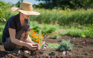 5 Common Mistakes to Avoid in Raised Bed Gardening - Land Guard