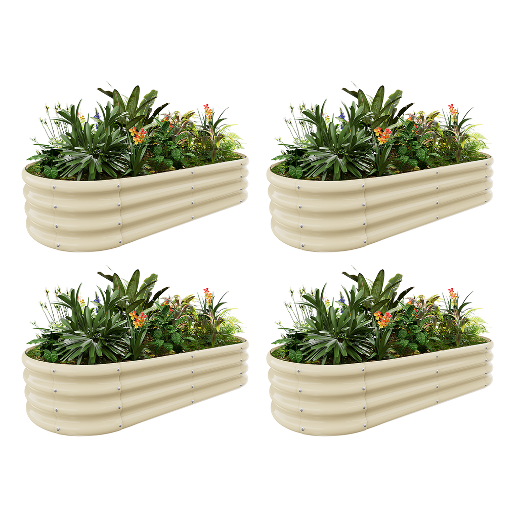 4-Pack 12