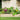 12" Tall Rectangle Galvanized Raised Garden Bed with assorted plants, sunflowers, and roses.