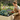 11-tic.png__PID:a3140da5-54ca-482f-8755-cad97ace5cc3