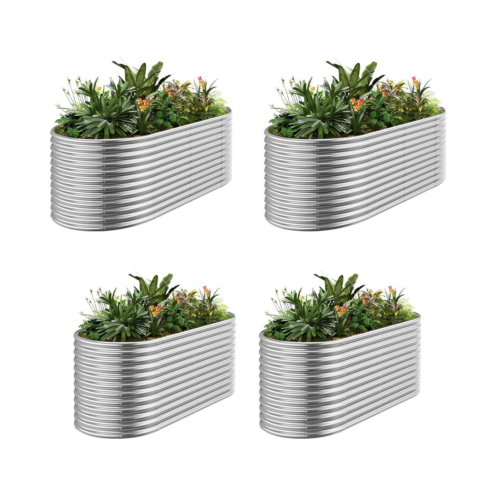 4-Pack 36