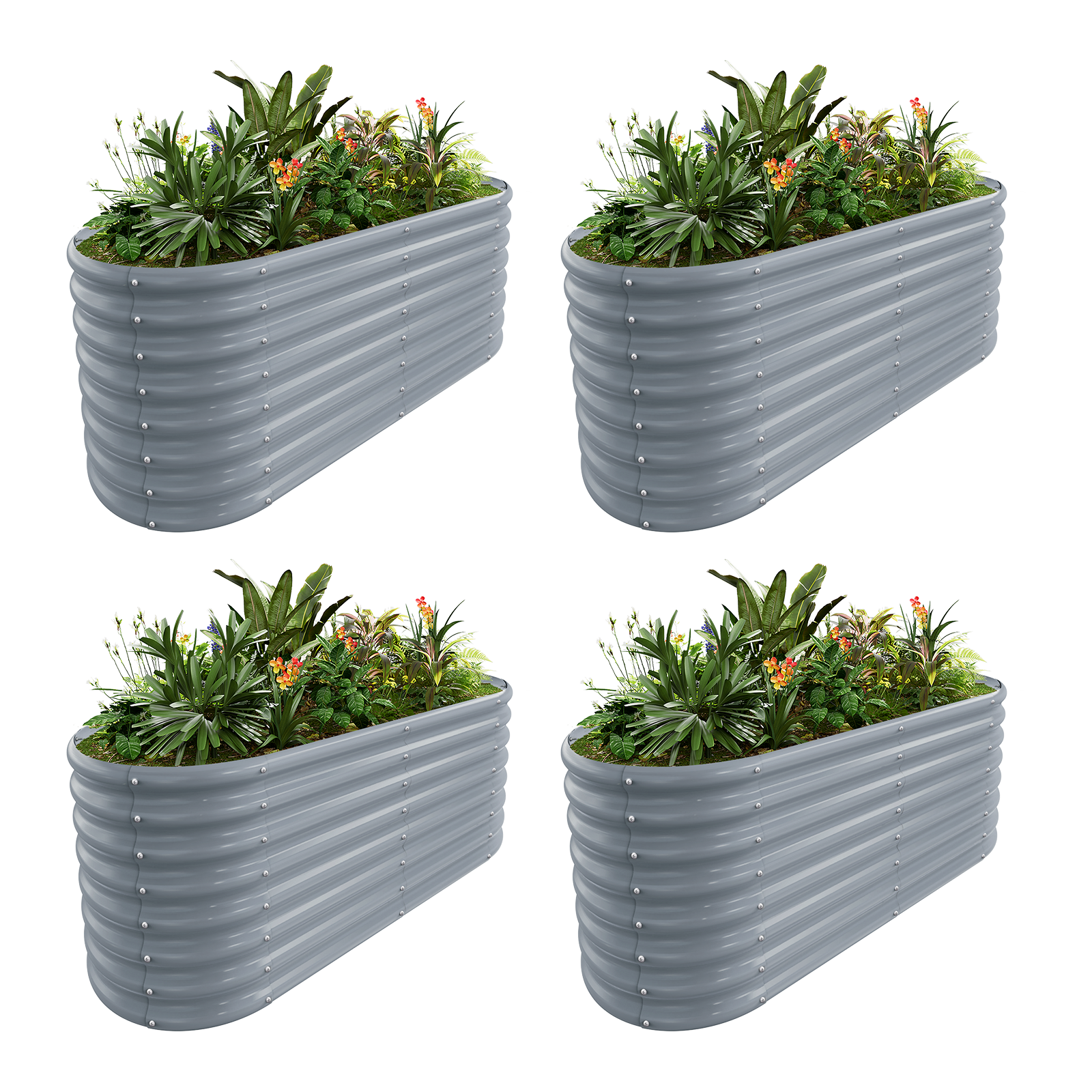 4-Pack 24