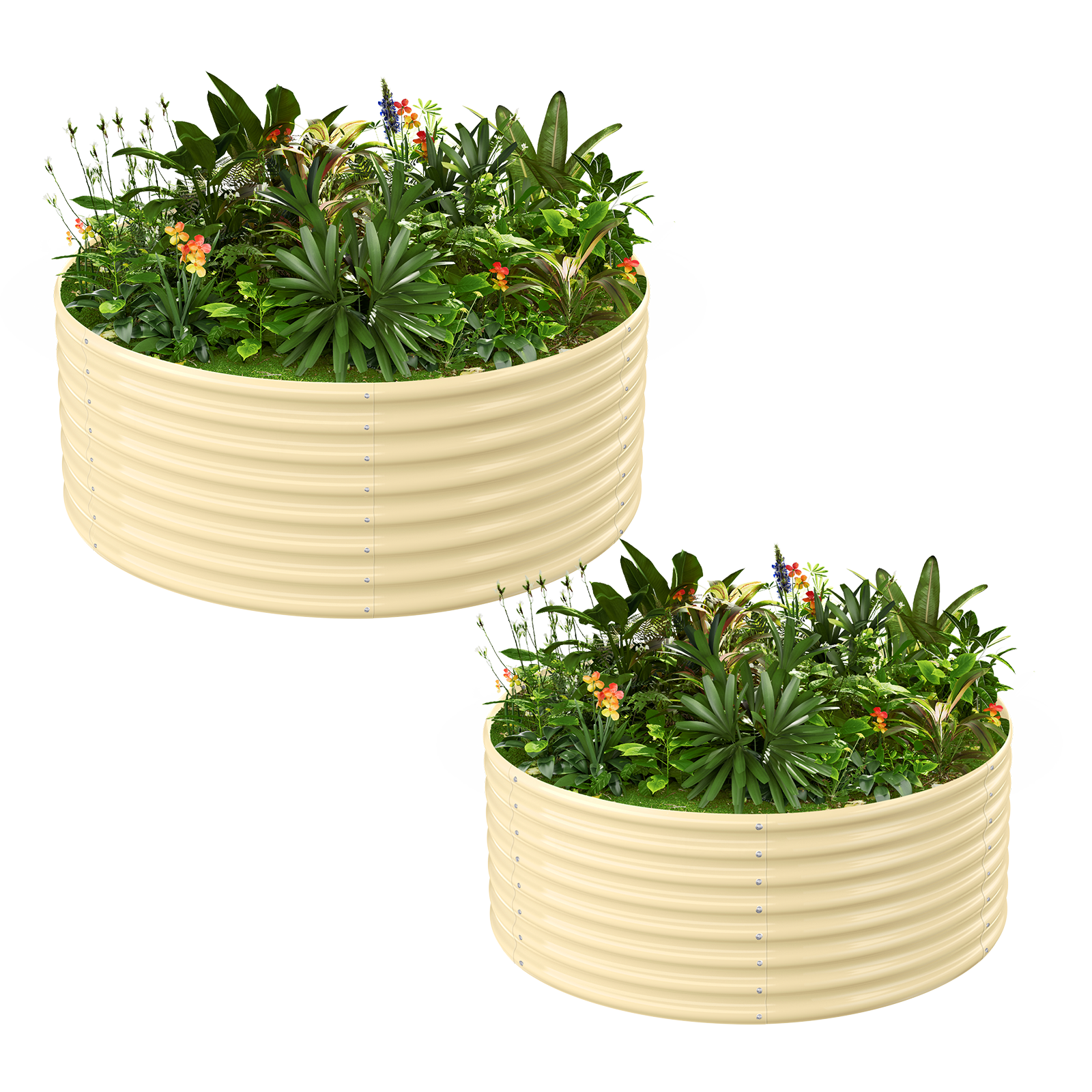 2-Pack 24