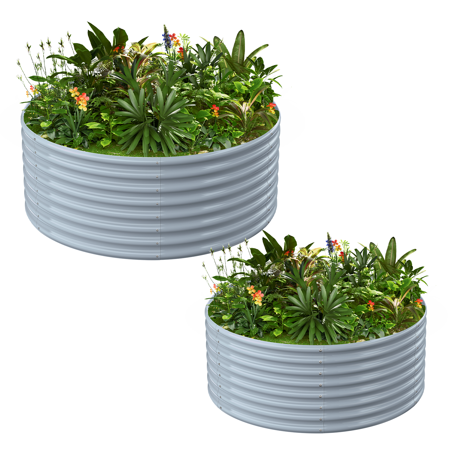 2-Pack 24