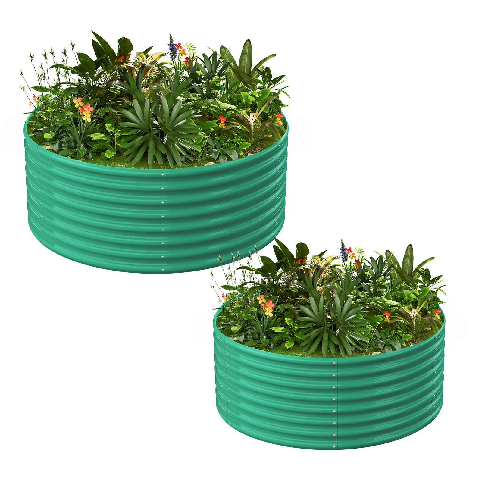 2-Pack 24