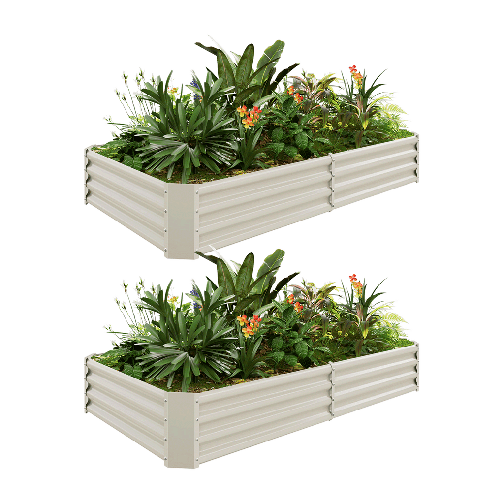 2-Pack 12
