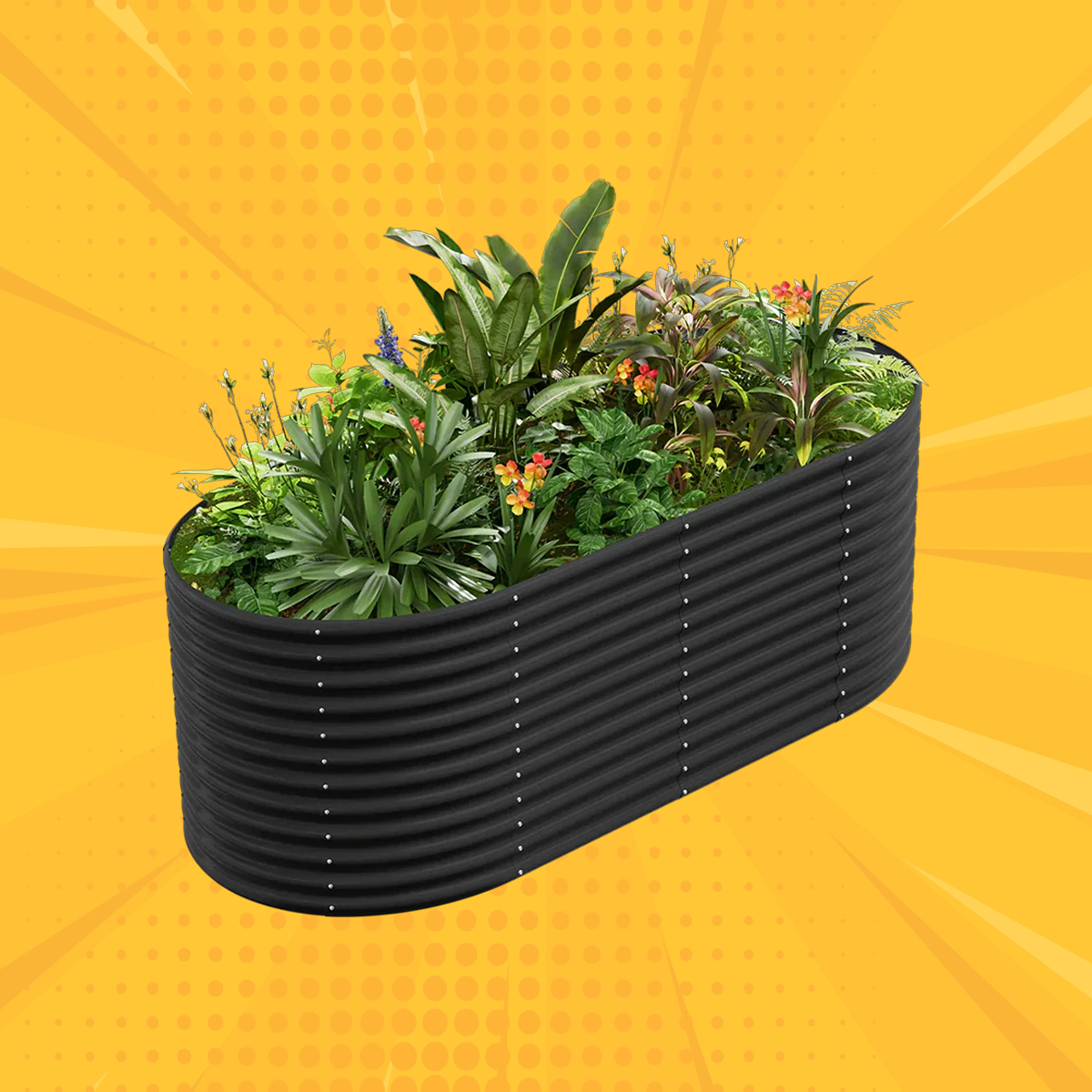 36" Tall Oval 8x4x3ft Galvanized Raised Garden Bed