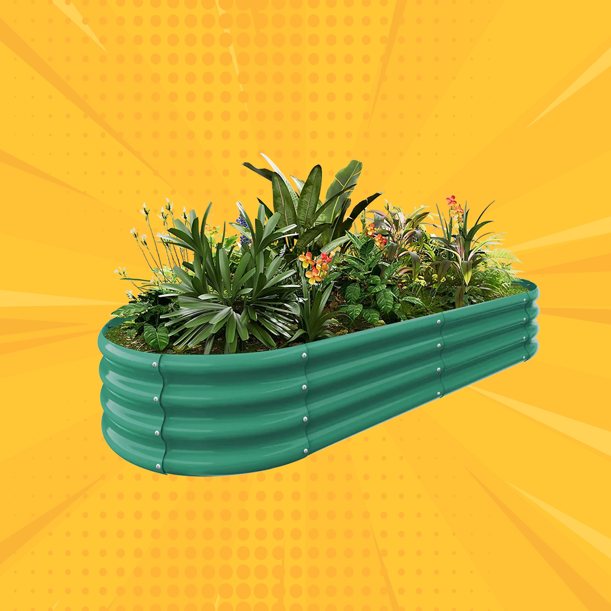 12" Tall Oval 6x3x1ft Galvanized Raised Garden Bed