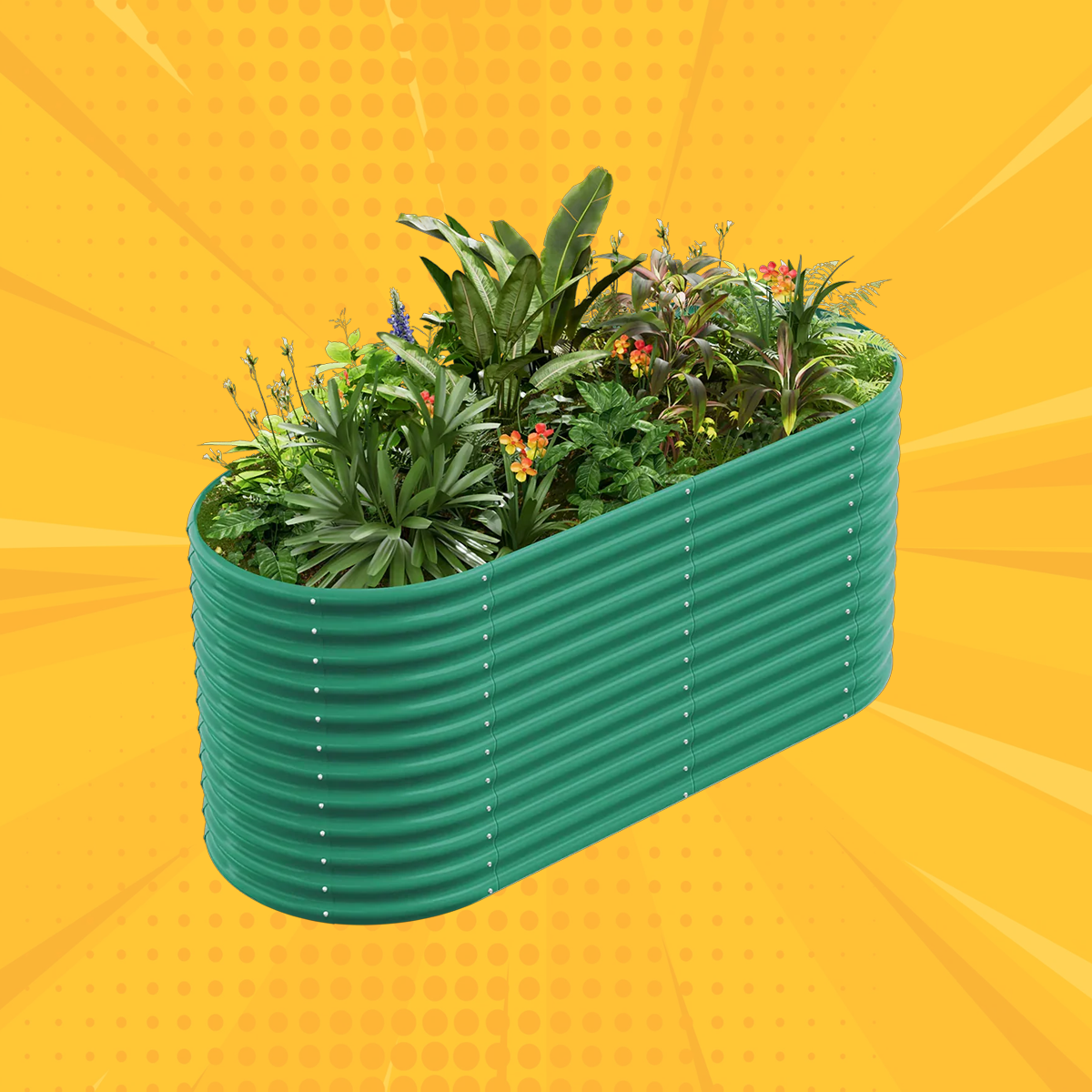36" Tall Oval 6x3x3ft Galvanized Raised Garden Bed