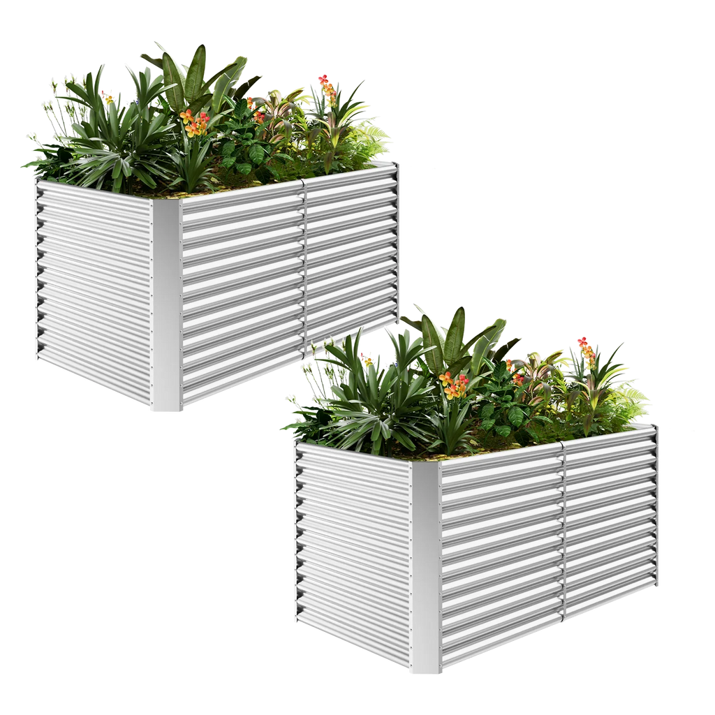 2-Pack 36