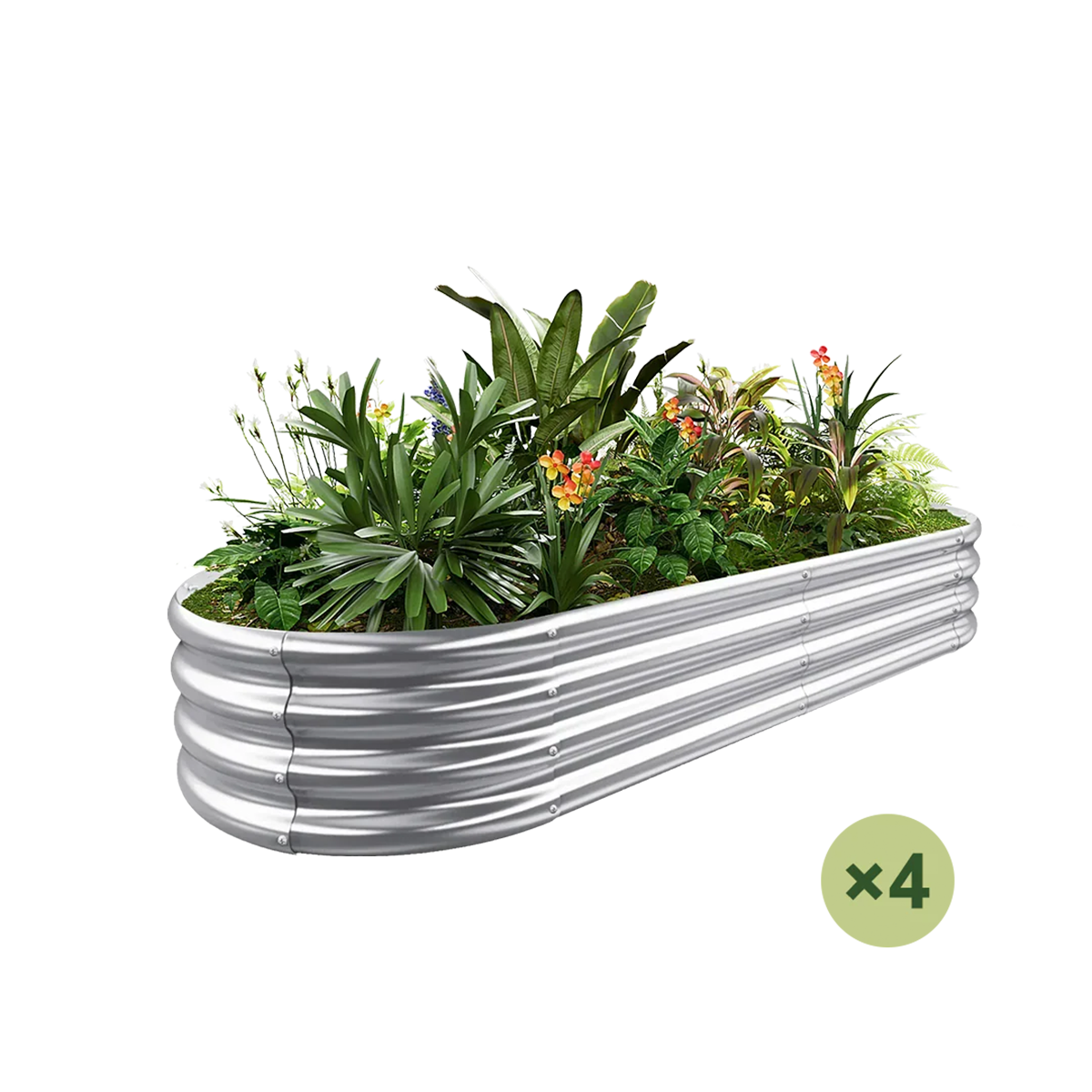 4-pack oval galvanized raised garden bed filled with vibrant plants.