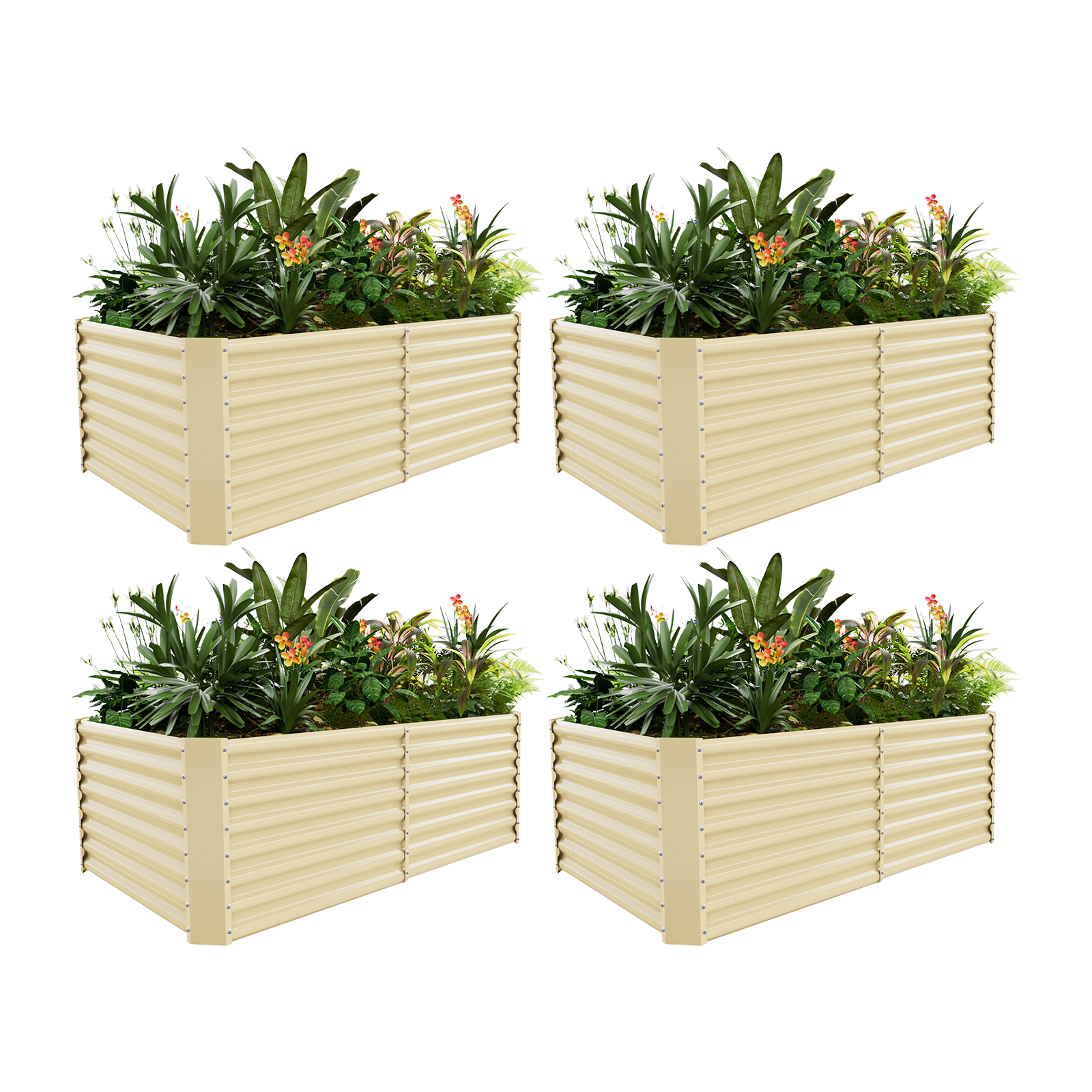 4-Pack 24