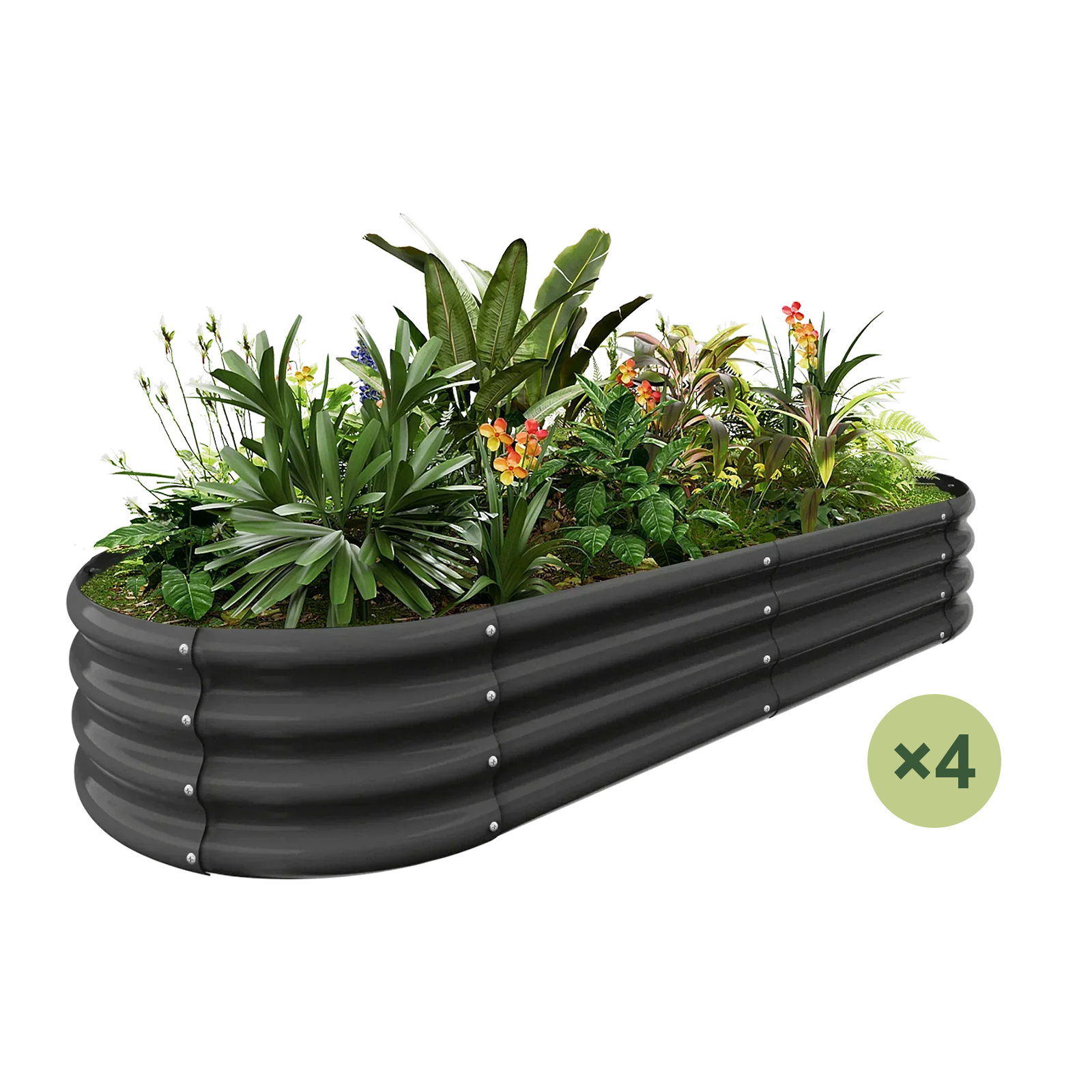 4-Pack Oval 6x3x1ft Galvanized Raised Garden Bed