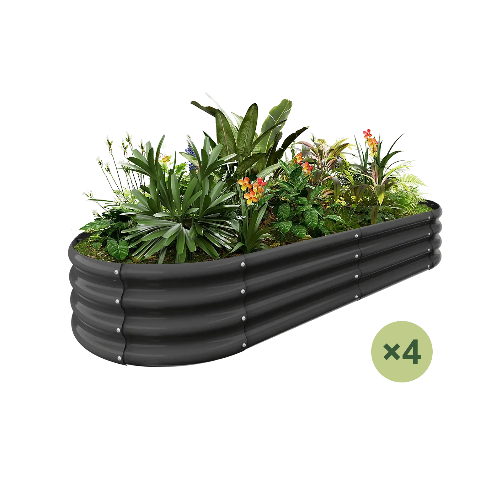 4-Pack Oval 6x3x1ft Galvanized Raised Garden Bed