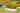 White corrugated galvanized raised garden bed with yellow flowers and greenery. A dog is nearby.
