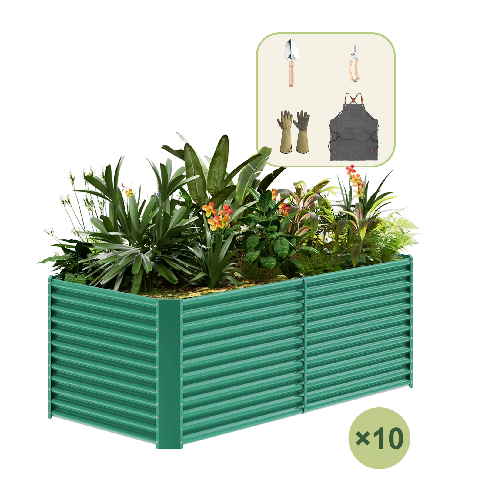 10-Pack 36